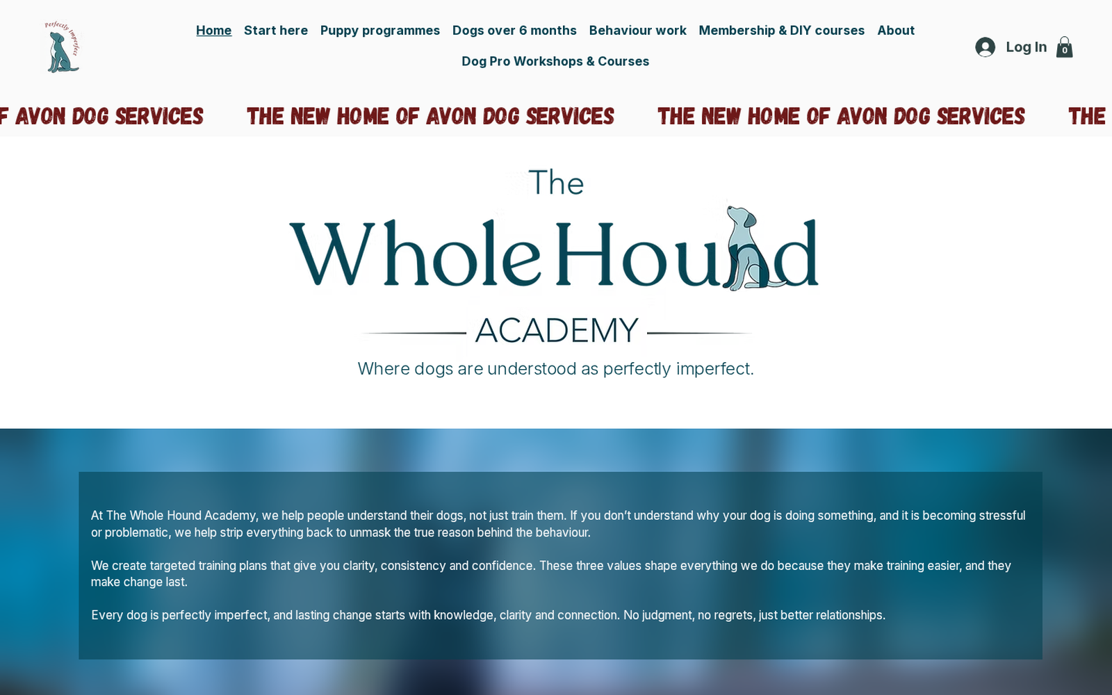 Before: the old Wix site, still branded as the new home of Avon Dog Services